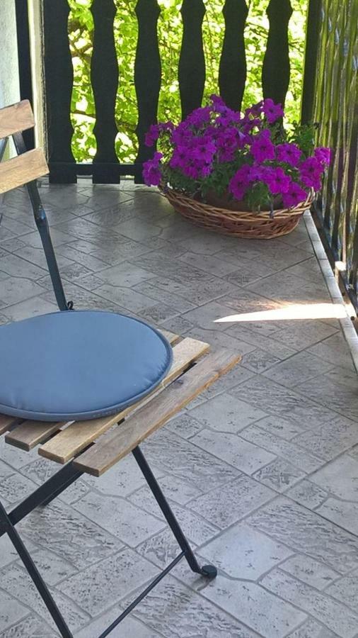Apartman Ruzica Ogulin Exterior foto